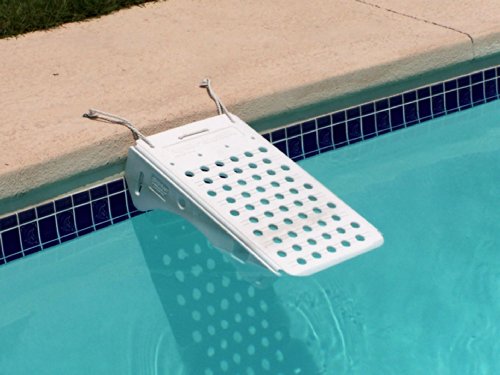 Skamper Ramp Escape Ramp, Regular Size, 25 x 13 x 6.5 inch