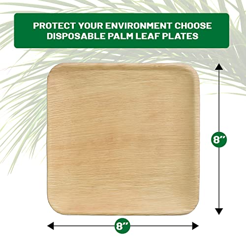 8” Biodegradable and Compostable Palm Leaf Plates 50Pcs Disposable