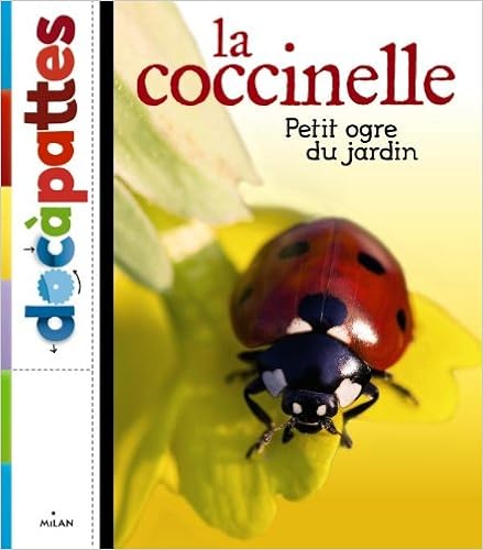 coccinelle-petit-ogre-du-jardin