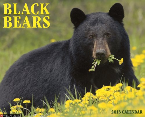 Black Bears 2013 Wall Calendar