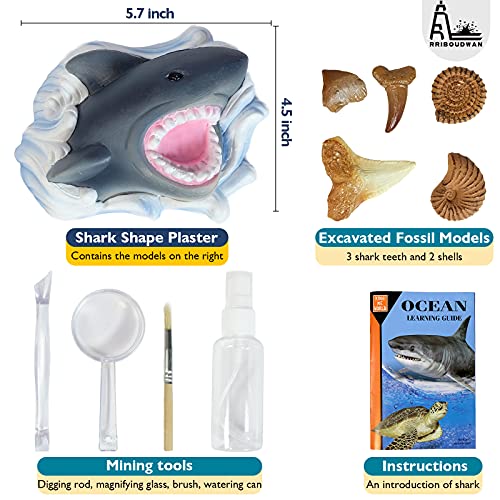 RRIBOUDWAN Shark Tooth Dig Kit, Shark Tooth Excavation Fossil, Shark
