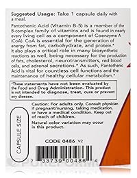 Now Foods Pantothenic Acid 500 mg – 100 Cápsulas