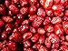 Greenhilltea health fruit Xinjiang Red Dates natural Jujube dried fruit 1 LB