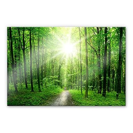 XXL Wandbild Sunny Forest Acrylglas Wald Bäume Sonne sonnig Natur Grün Waldweg Wall-Art - 120x75cm