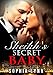 Sheikh's Secret Baby: Babies & Sheikhs Book 2