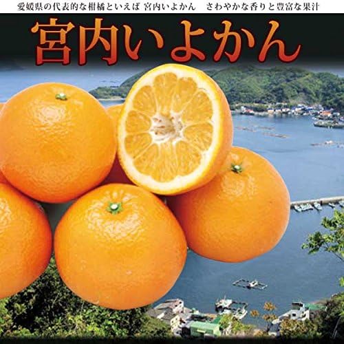 Amazon 宮内いよかん 良 2l 10kg 愛媛産 ご家庭用 伊予柑 宮内いよかん 果物 通販 Amazon 宮内いよかん 良 2l 10kg 愛媛産 ご家庭用 伊予柑 宮内いよかん 果物 通販