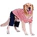 Petroom Dog Shirts for Large Dogs,Dog Striped Cotton T-Shirt Breathable Stretchy Costumes Pet Pullover Clothes(Red White Stripe,XL)