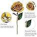 zjchao 24K Yellow Rose for Her, Eternal Eternity Love Real Gold Plated Rose Flower, Romantic Present for Wife, Girlfriend, Anniversary, Parting, Apologize (Yellow)