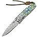 KUBEY DM147 Hunting Wood Pocket Knife, Damascus Blade Etched, Rosewood Handle with Steel Bolster, Ceramic Ball Bearing Flipper, Liner Lock (Medium, SpearPoint)