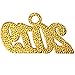 GraduationMall Alloy Year Charm for Graduation Tassel 2021 2022 Gold Silver Bling (Gold 2019, 2019)