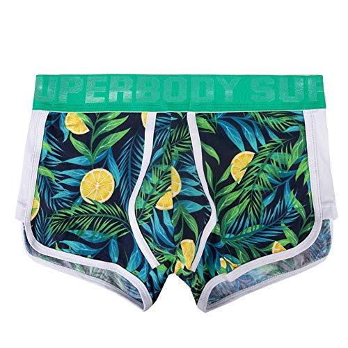 charmsamx Mens Seamless Stretch Boxer Briefs Soft Polyester Boxer Briefs Comfortable Breathable Underwear No Ride-up Underpants, Green, L