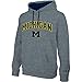 Michigan Wolverines Hooded Sweatshirt Arch Gray