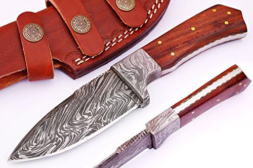 SharpWorld Beautiful Damascus Knife Made of Remarkable Damascus Steel Multi Handles -Best Hunting Knife with Sheath TJ103