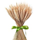 Pumpumly 100x Dry Grass Bouquet Decoration Wedding flower bouquet wedding High simulation-2 bunch,dry wheat,Wheat Bundle,stalk,Naturally Dried flowers for Home Party Decorations