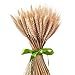 Pumpumly 100x Dry Grass Bouquet Decoration Wedding flower bouquet wedding High simulation-2 bunch,dry wheat,Wheat Bundle,stalk,Naturally Dried flowers for Home Party Decorations