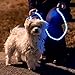 NiteyLeash - LED Glow in The Dark Pet Dog Leash (Blue)