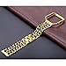 For Fitbit Blaze Bands, bayite Replacement Stainless Steel Chain Bands with Metal Frame for Fitbit Blaze Gold