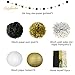 NICROLANDEE Black Gold Party Decorations - 28 PCS Black Gold Tissue Paper Pom Poms Hanging Paper Lanterns Star Garland Tassel for New Years Decoration 2025, Birthday, Prom Night, Graduation Decoration