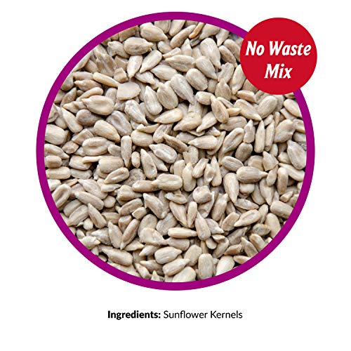 Lyric Sunflower Kernels Wild Bird Seed No Waste Bird Food Attracts