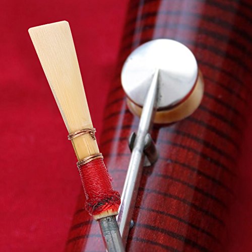 image for Drfeify 5Pcs Practical Bassoon Reeds Medium Instrument Accessories