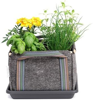 Saco Cubo Mh (30x30x20cm) para Huerto Urbano + Manual Agricultura ...