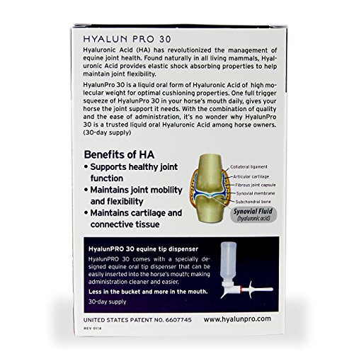 Hyalogic Hyaluronic Acid for Horses 90 Day Supply Easy Oral Tip