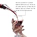 Baen Sendi Wine Aerator Pourer - Aerating Wine Pourer - Premium Wine Decanter