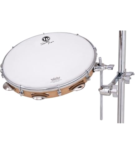 Amazon.com: Latin Percussion LP3012-SM LP Stanton Moore Pandeiro