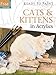 Cats & Kittens in Acrylics (Ready to Paint)