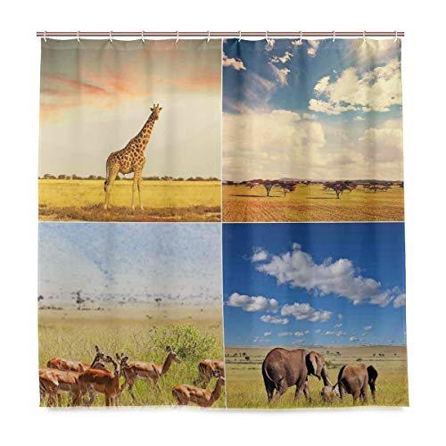 CHASOEA Unique Shower Curtain,African Safari Collage Lanscape with Native Animals Grassland Savannahs Mamals,Eco-Friendly with 12 Hooks in Bathroom W72xH96