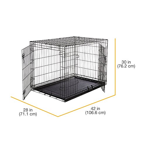 AmazonBasics DoubleDoor Folding Metal Dog Crate Large (42x28x30