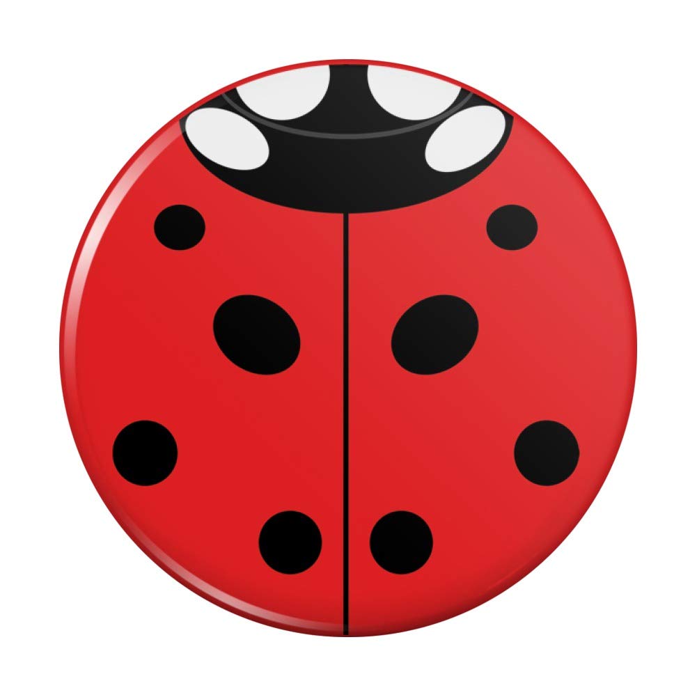 Amazon Com Lady Bug Ladybug Insect Compact Pocket Purse Hand Amazon Com Lady Bug Ladybug Insect Compact Pocket Purse Hand