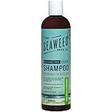 The Seaweed Bath Co. Balancing Eucalyptus and Peppermint Argan Shampoo, 12 oz