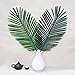 Warmter Faux Palm Leaves 5 Pack Palm Leaves Fake Faux Artificial Plant Leaves Green Single Leaf Palm for Home Kitchen Party Supplies Tropical Leaves Decorations (22 inch)