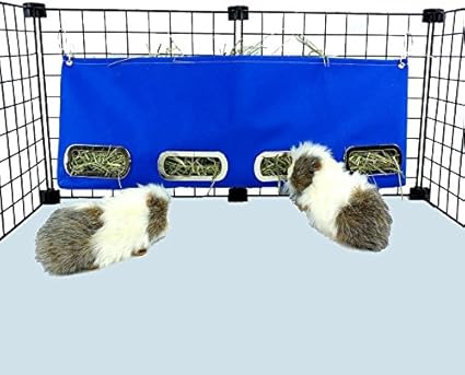 Amazon Com Guinea Pig Hay Bag Feeder Large Royal Blue Pet