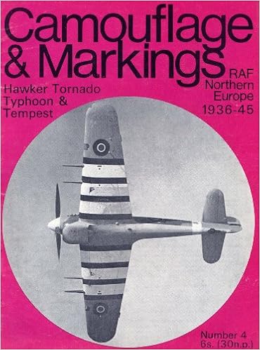 ducimus camouflage and markings raf