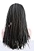 ATOZWIG Glueless African American Women Wig with Thin Micro Braids Synthetic Hair Braided Lace Front Wig in Stock