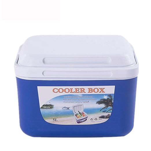 QWE Nevera para Bebidas, Refrigerador Coche,8 litros de Capacidad ...