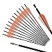 REEGOX 20 inch Carbon Crossbow Bolts Bio with 4-Inch Vanes(Pack of 12) Orange