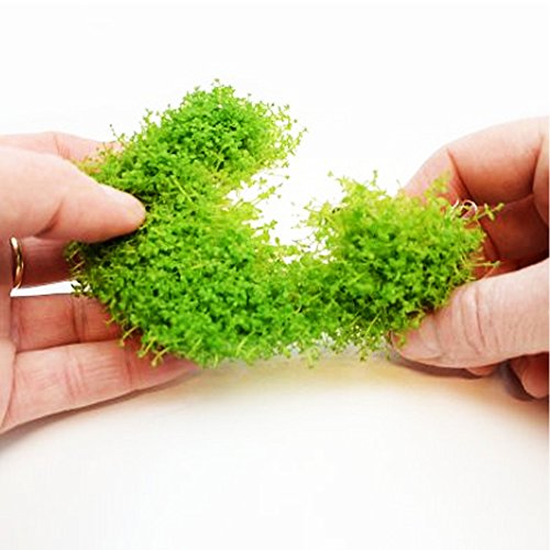 Mainam (1-Cup) Dwarf Baby Tears Carpet Imported Direct from Grower Live Aquarium Plants Decoration Tissue Culture for Freshwater Aquatic Plant Tank - Thumbnail 2