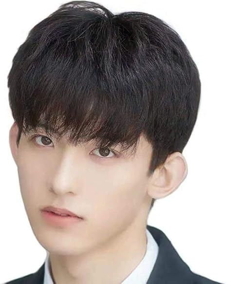 Amazon R D N イメチェン ビジネス フルウィッグ かつら 手植え メンズ 男性用 ふんわり 無造作 カジュアル マニッシュショート 通気性抜群 ブラウン ウィッグ 通販