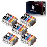 Wolfgray Compatible Ink Cartridge Replacement for Canon PGI-250 CLI-251 PGI-250XL CLI-251XL PIXMA iP8720 PIXMA MG6320 PIXMA MG6620 PIXMA MG7120 PIXMA MG7520 Inkjet Printer (5Large BK+5BK+5C+5M+5Y+5GY)