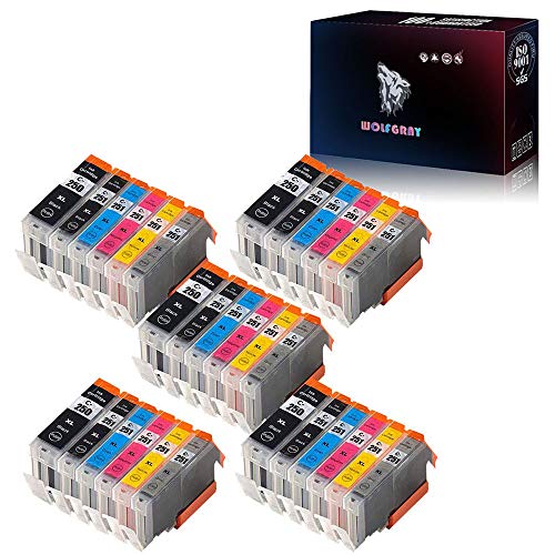 Wolfgray Compatible Ink Cartridge Replacement for Canon PGI-250 CLI-251 PGI-250XL CLI-251XL PIXMA iP8720 PIXMA MG6320 PIXMA MG6620 PIXMA MG7120 PIXMA MG7520 Inkjet Printer (5Large BK+5BK+5C+5M+5Y+5GY)