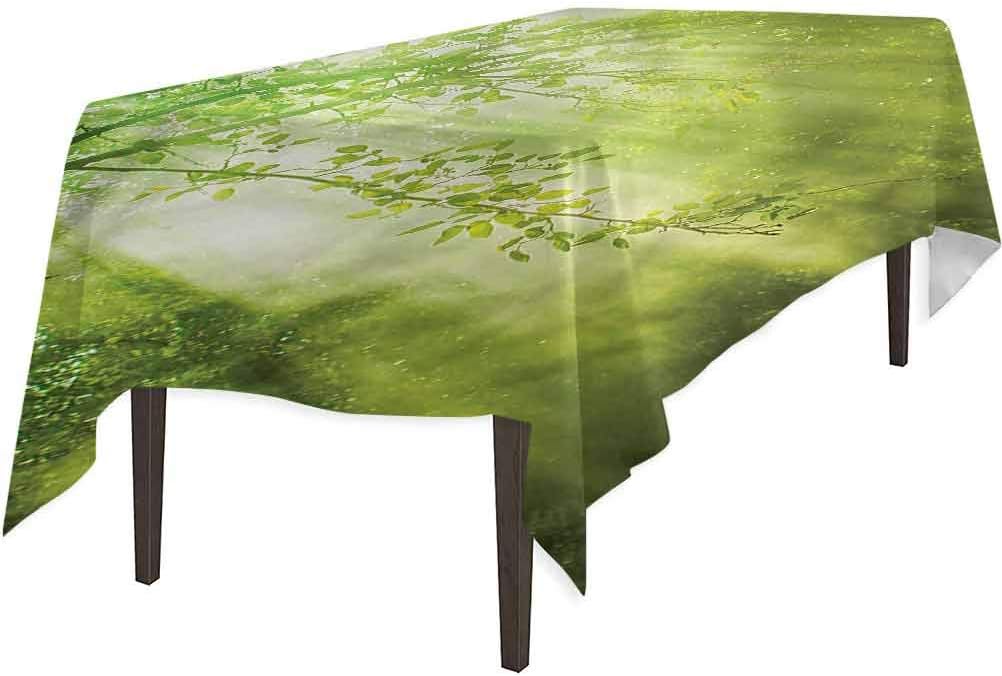 Aishare Store Waterproof Table Cloth, Forest Sunbeams in Woodland, Table Cover for Holiday Dinner, 54" x 108"