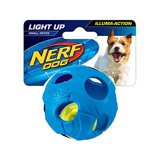 Nerf Dog Small LED Bash Ball LightUp Blue Dog Toy New eBay