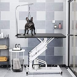 Hydraulic Pet Grooming Table for Large Dogs