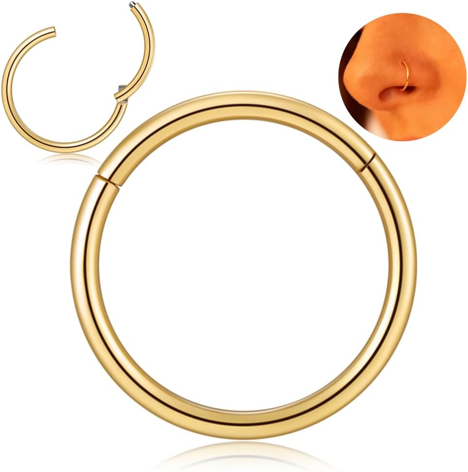 Afftiny Nose Ring Septum Hoop 20G/18G/16G/14G/12G 316L Surgical Stainless Steel Hinged Seamless Earrings, Diameter 5MM-16MM, Gold/Silver/Black/Rose Gold/Rainbow Color