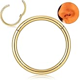 OreilleStar Nose Rings Hoops Septum Rings: Nose Rings Nose Ring Hoop Surgical Steel Nose Rings for Women Hypoallergenic Nose Hoop Septum Ring Titanium Nose Ring Cute Stainless Steel Nose Rings Nose Ring Nose Ring Hoop Septum Ring Gold Silver Black