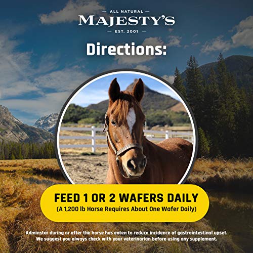 Majesty's Flex XT Wafers - Superior Horse / Equine Joint Support With Increased Supplement Levels - Glucosamine, MSM, Yucca, Vitamin C - 60 Count (2 Month Supply)