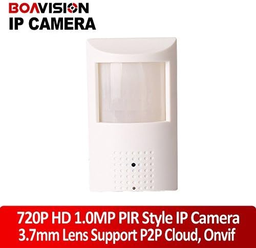 Motion Detector Hd PIR Style H.264 720p Ip Hidden Camera 1.0megapixel P2p Function Security Network Cameras Onvif 2.3